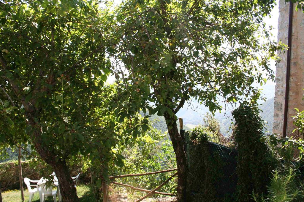 בית הארחה Sellano 	Borgo Di Fonni מראה חיצוני תמונה